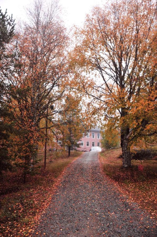 B&B Gillhov & Camping Svenstavik Exterior photo