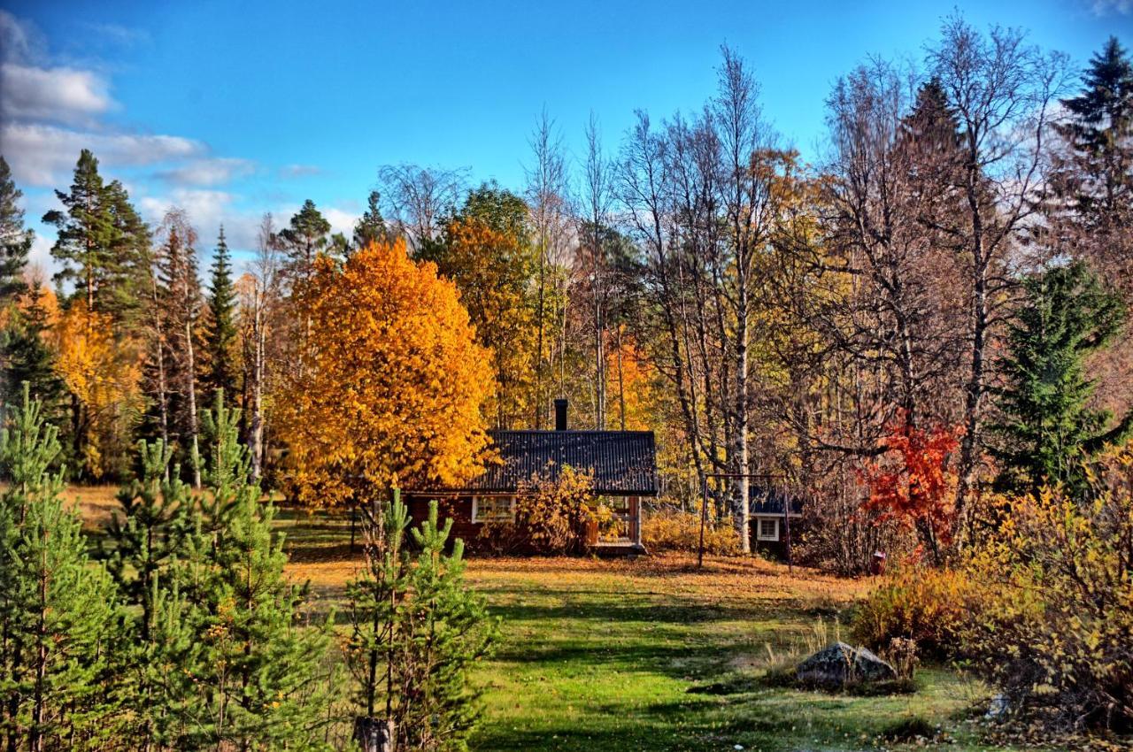 B&B Gillhov & Camping Svenstavik Exterior photo